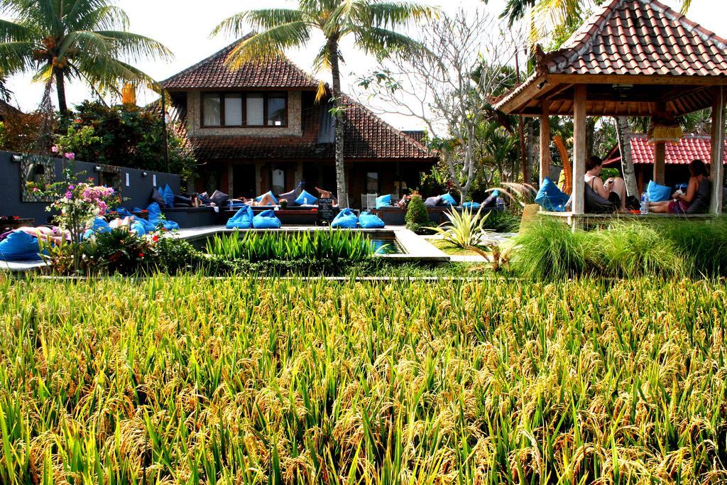 In Da Lodge Ubud Kültér fotó